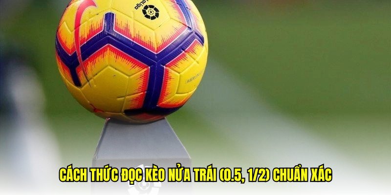                                             Các loại kèo tỷ số chính xác phổ biến