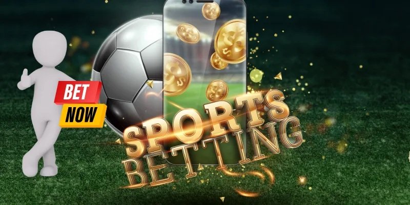                                                 Tổng quan Sảnh CMD SPORT